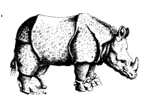 16th century rhinoceros woodcut by Hans Burgkmair, warts and all